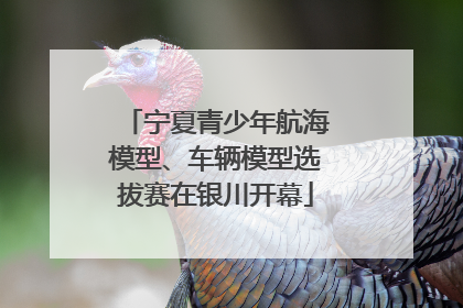宁夏青少年航海模型、车辆模型选拔赛在银川开幕