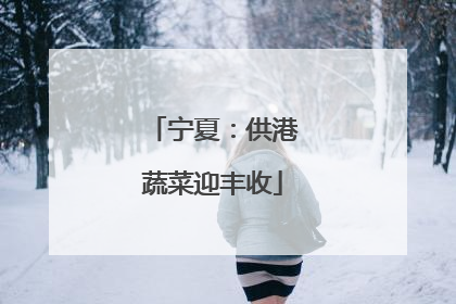 宁夏：供港蔬菜迎丰收