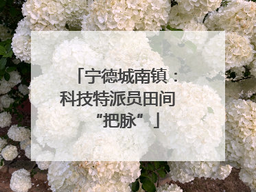宁德城南镇：科技特派员田间“把脉”