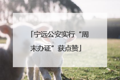 宁远公安实行“周末办证”获点赞