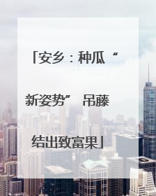 安乡：种瓜“新姿势” 吊藤结出致富果