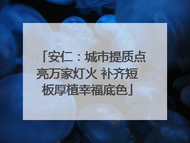 安仁：城市提质点亮万家灯火 补齐短板厚植幸福底色
