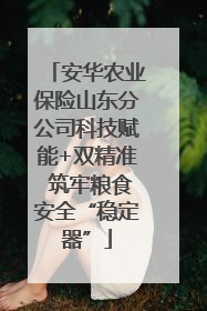 安华农业保险山东分公司科技赋能+双精准 筑牢粮食安全“稳定器”