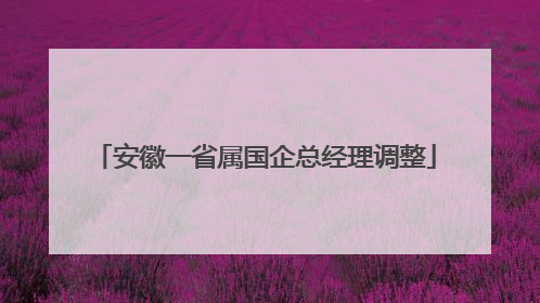 安徽一省属国企总经理调整