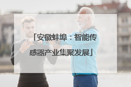 安徽蚌埠：智能传感器产业集聚发展