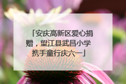 安庆高新区爱心捐赠，望江县武昌小学携手童行庆六一