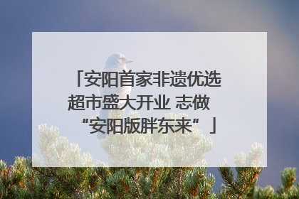 安阳首家非遗优选超市盛大开业 志做“安阳版胖东来”