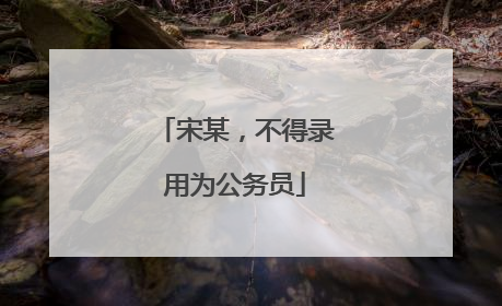 宋某，不得录用为公务员