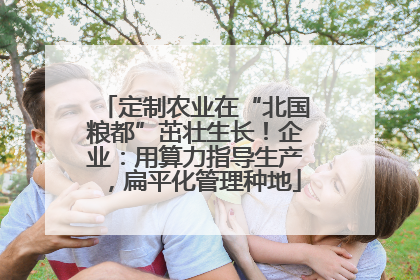 定制农业在“北国粮都”茁壮生长！企业：用算力指导生产，扁平化管理种地