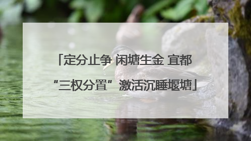 定分止争 闲塘生金 宜都“三权分置”激活沉睡堰塘
