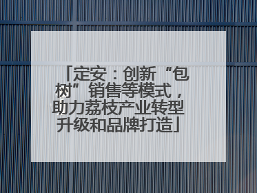 定安：创新“包树”销售等模式，助力荔枝产业转型升级和品牌打造