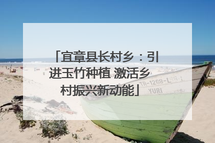 宜章县长村乡：引进玉竹种植 激活乡村振兴新动能