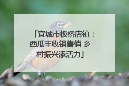 宜城市板桥店镇：西瓜丰收销售俏 乡村振兴添活力
