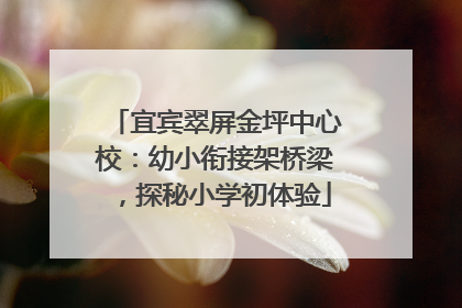 宜宾翠屏金坪中心校：幼小衔接架桥梁，探秘小学初体验