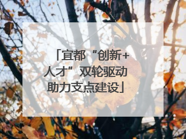 宜都“创新+人才”双轮驱动助力支点建设