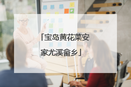 宝岛黄花菜安家尤溪畲乡