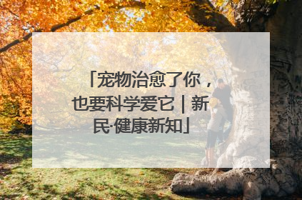 宠物治愈了你，也要科学爱它｜新民·健康新知
