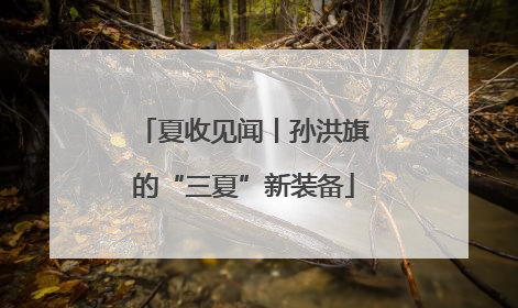 夏收见闻丨孙洪旗的“三夏”新装备