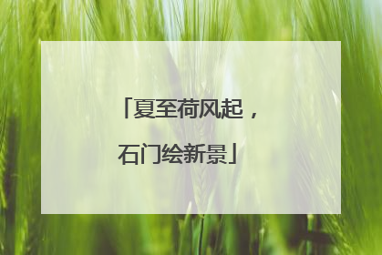 夏至荷风起，石门绘新景