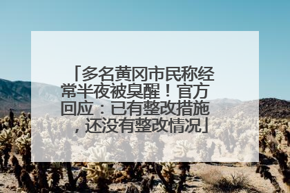 多名黄冈市民称经常半夜被臭醒！官方回应：已有整改措施，还没有整改情况