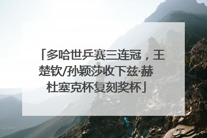 多哈世乒赛三连冠，王楚钦/孙颖莎收下兹·赫杜塞克杯复刻奖杯