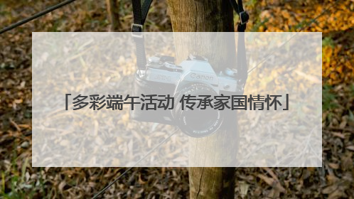 多彩端午活动 传承家国情怀