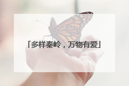 多样秦岭，万物有爱