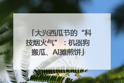 大兴西瓜节的“科技烟火气”：机器狗搬瓜、AI摊煎饼