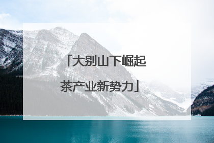 大别山下崛起茶产业新势力