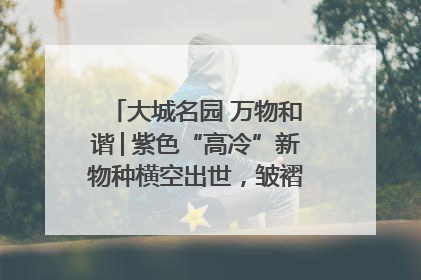 大城名园 万物和谐│紫色“高冷”新物种横空出世，皱褶叶片暗藏进化密码