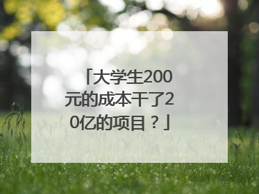 大学生200元的成本干了20亿的项目？