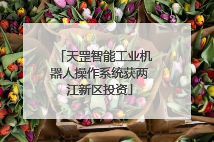 天罡智能工业机器人操作系统获两江新区投资