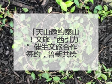 天山邀约泰山！文旅“西引力”催生文旅合作签约，鲁新共绘丝路诗与远方