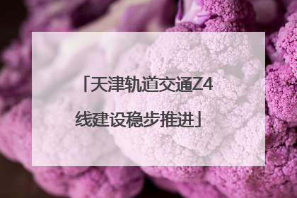 天津轨道交通Z4线建设稳步推进