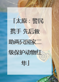 太原：警民携手 先后救助两只国家二级保护动物红隼