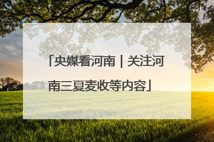 央媒看河南｜关注河南三夏麦收等内容