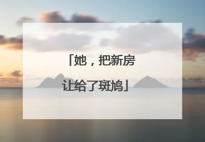 她，把新房让给了斑鸠