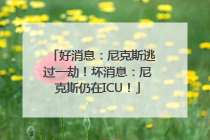 好消息：尼克斯逃过一劫！坏消息：尼克斯仍在ICU！