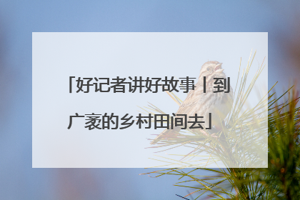 好记者讲好故事丨到广袤的乡村田间去
