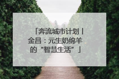 奔流城市计划丨金昌：元生奶绵羊的“智慧生活”