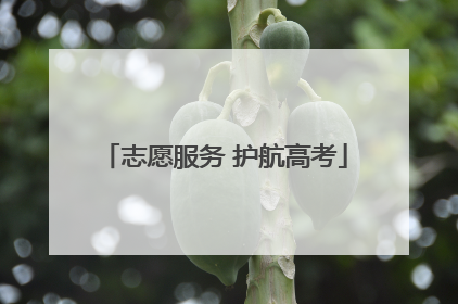 志愿服务 护航高考