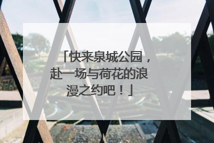 快来泉城公园，赴一场与荷花的浪漫之约吧！
