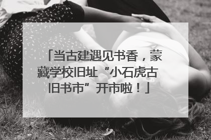 当古建遇见书香，蒙藏学校旧址“小石虎古旧书市”开市啦！