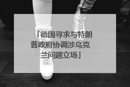 德国寻求与特朗普政府协调涉乌克兰问题立场