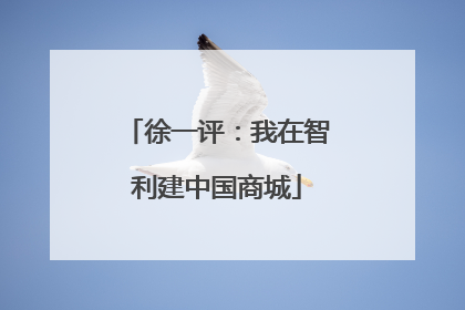 徐一评：我在智利建中国商城
