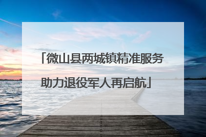 微山县两城镇精准服务助力退役军人再启航