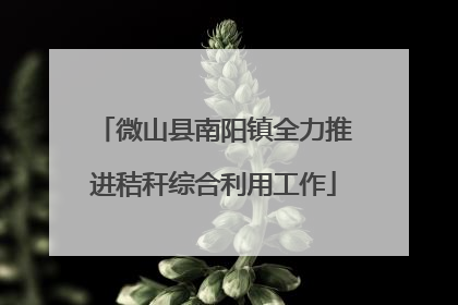 微山县南阳镇全力推进秸秆综合利用工作