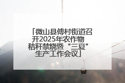 微山县傅村街道召开2025年农作物秸秆禁烧暨“三夏”生产工作会议
