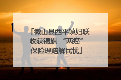 微山县西平镇妇联收获锦旗 “两癌”保险理赔解民忧