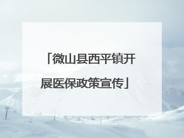 微山县西平镇开展医保政策宣传